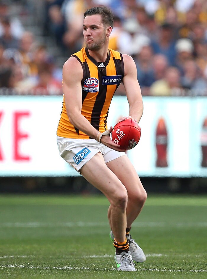 2015 Toyota AFL Grand Final - Hawthorn v West Coast MELBOURNE, AUSTRALIA - OCTOBER 3: Matthew Suckling of the Hawks in action during the 2015 Toyota AFL Grand Final match between the Hawthorn Hawks and the West Coast Eagles at the Melbourne Cricket Ground, Melbourne, Australia on October 3, 2015. (Photo by Adam Trafford/AFL Media)